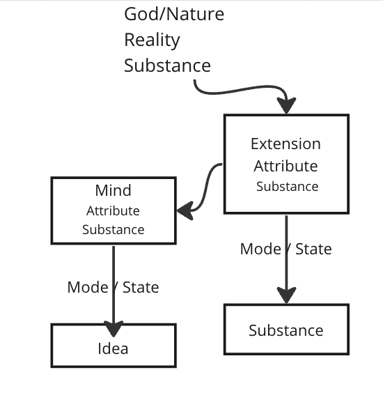 Diagram of God or Nature branching into the attributes of extension and mind, each with its own mode