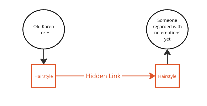 Two person circles each linked down to a hairstyle box, the boxes joined by an arrow marked Hidden Link